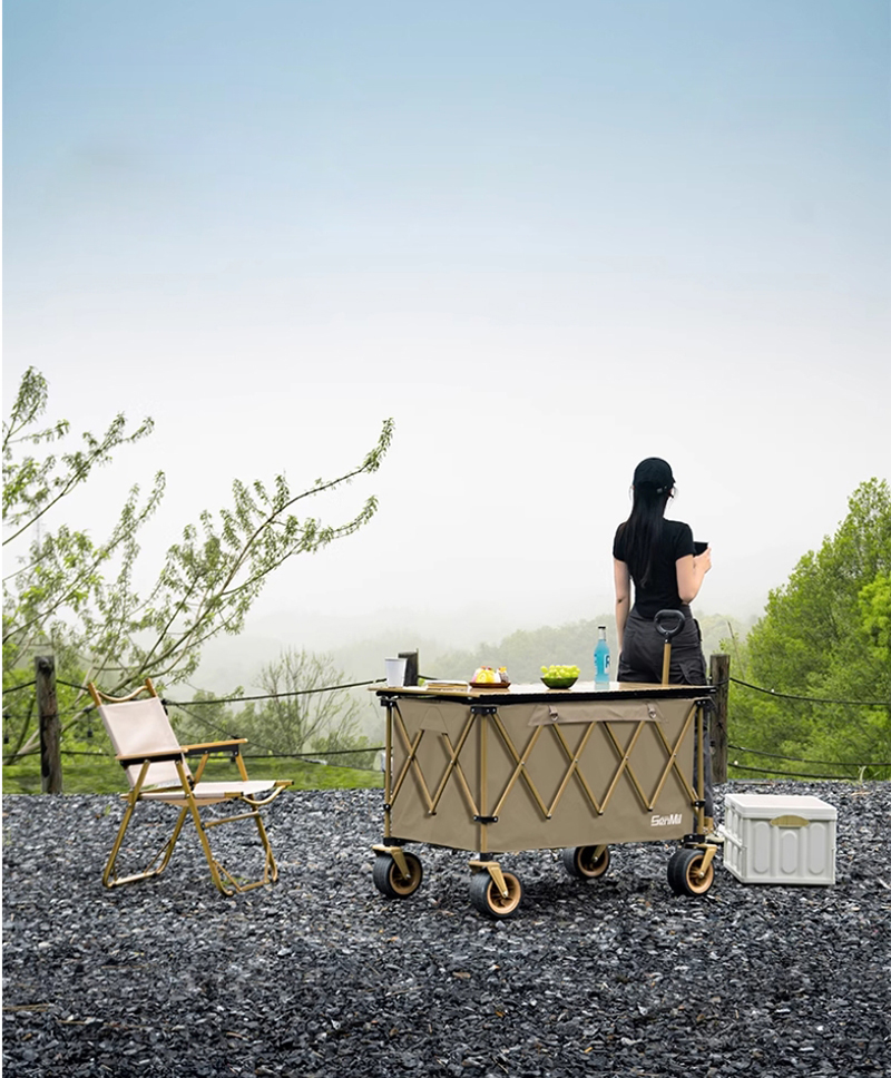 Carro plegable negro, capacida - Sports Equipment Trolley reseña y precio